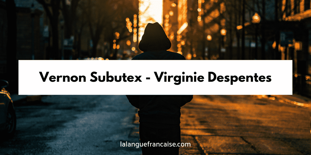 Virginie Despentes : Vernon Subutex - critique