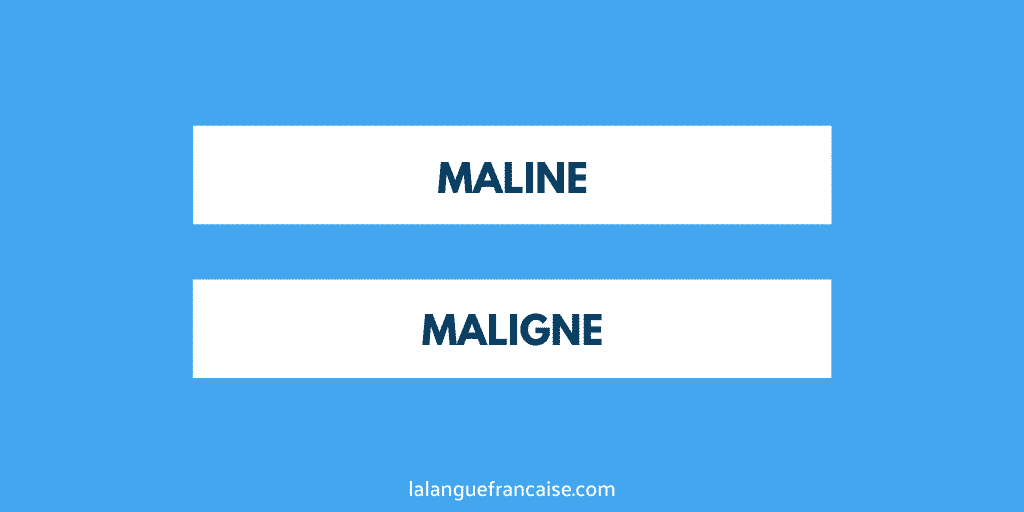 « Maline » ou « maligne » ? - orthographe