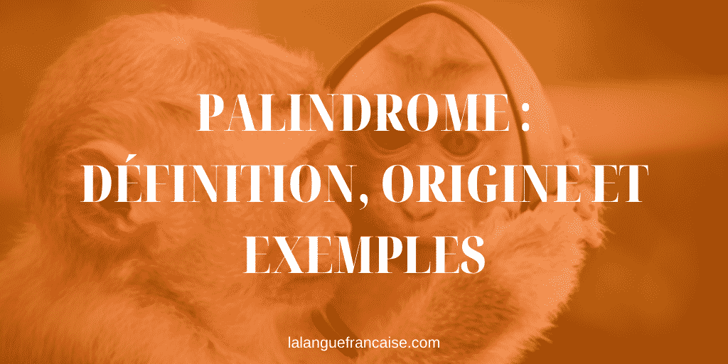 Palindrome : définition, origine et exemples