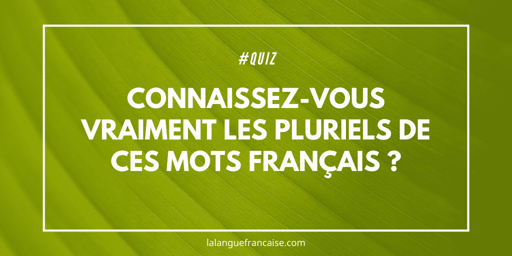 Quiz : connaissez-vous vraiment les pluriels de ces mots français ?