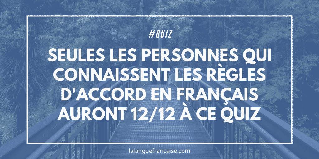 Seules les personnes qui connaissent vraiment les règles d'accord en français auront 12/12 à ce quiz