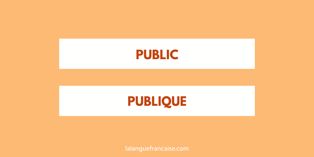 « Public » ou « publique » ?