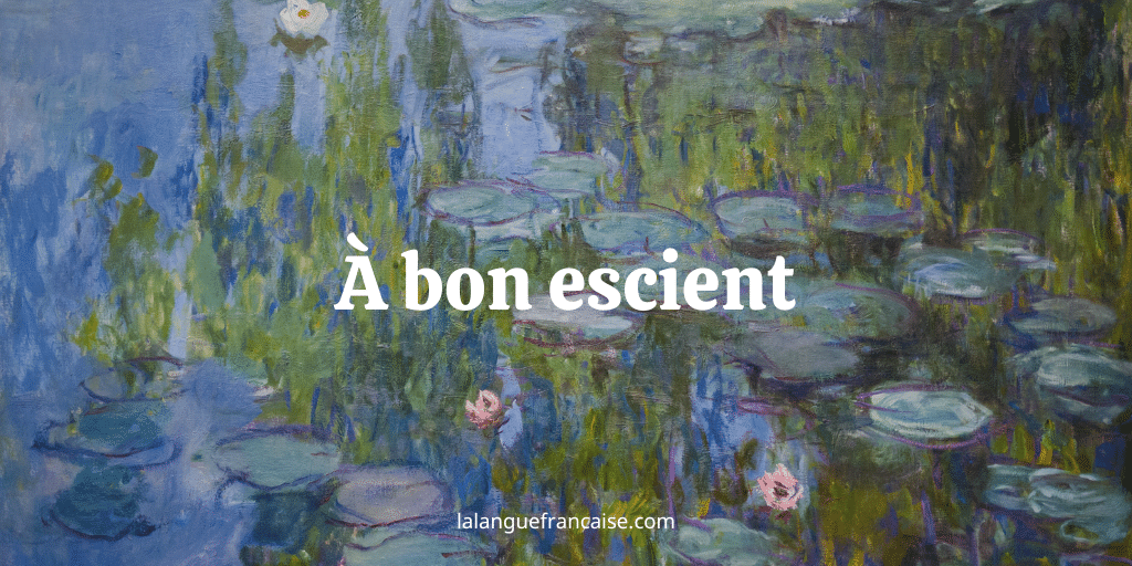 à bon escient expression