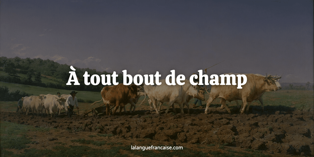 À tout bout de champ : définition et origine de l'expression