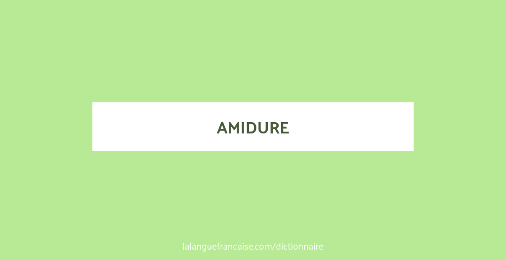 Définition de amidure | Dictionnaire français