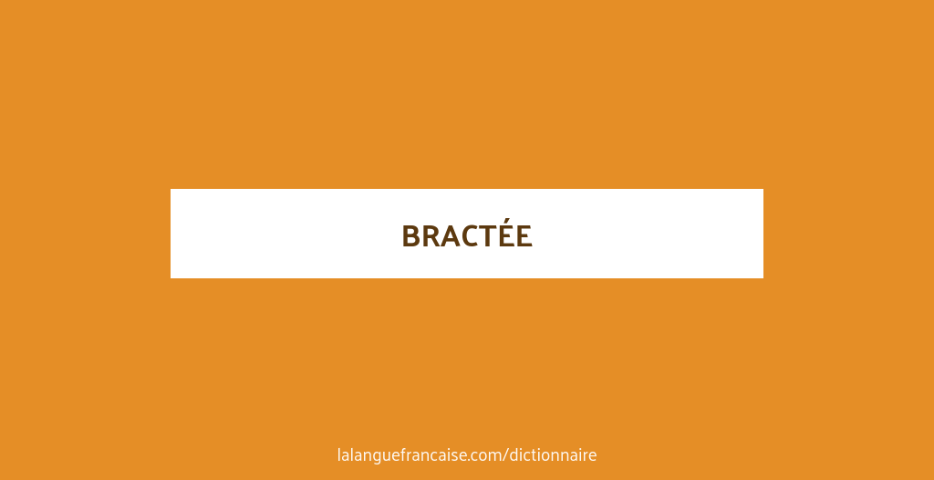 Définition de bractée | Dictionnaire français