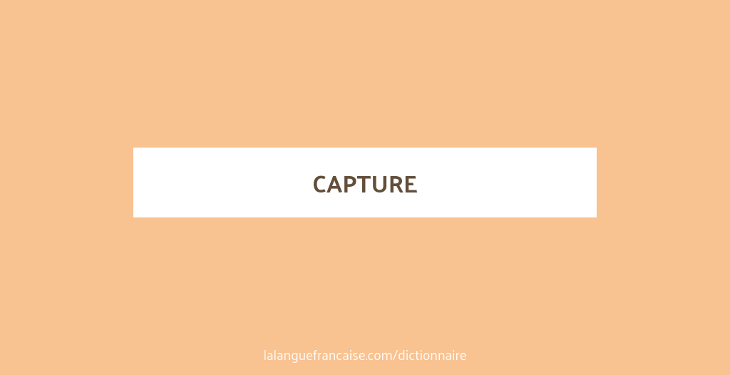 Définition de capture | Dictionnaire français