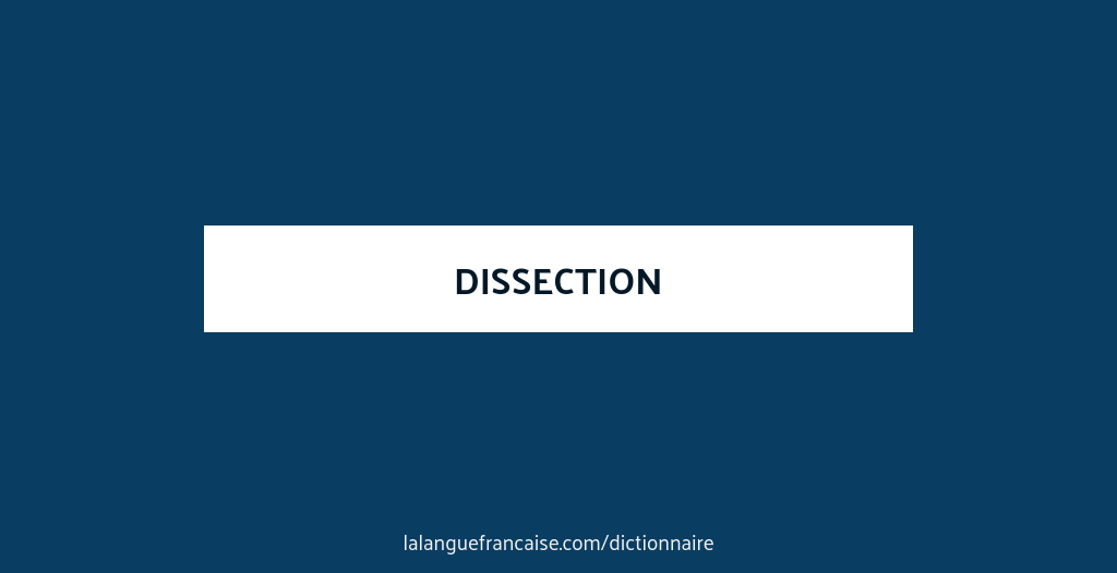 Définition de dissection | Dictionnaire français