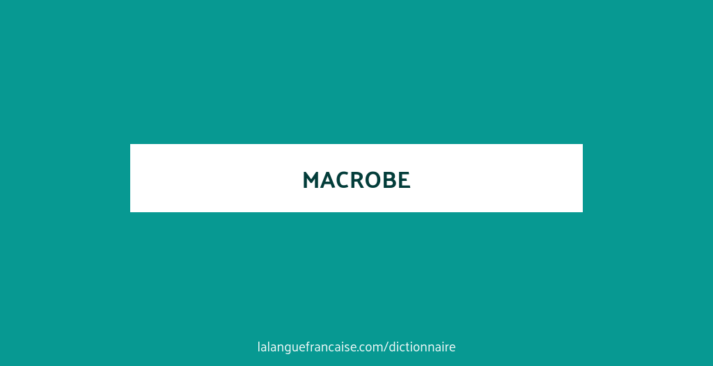 Définition de macrobe | Dictionnaire français