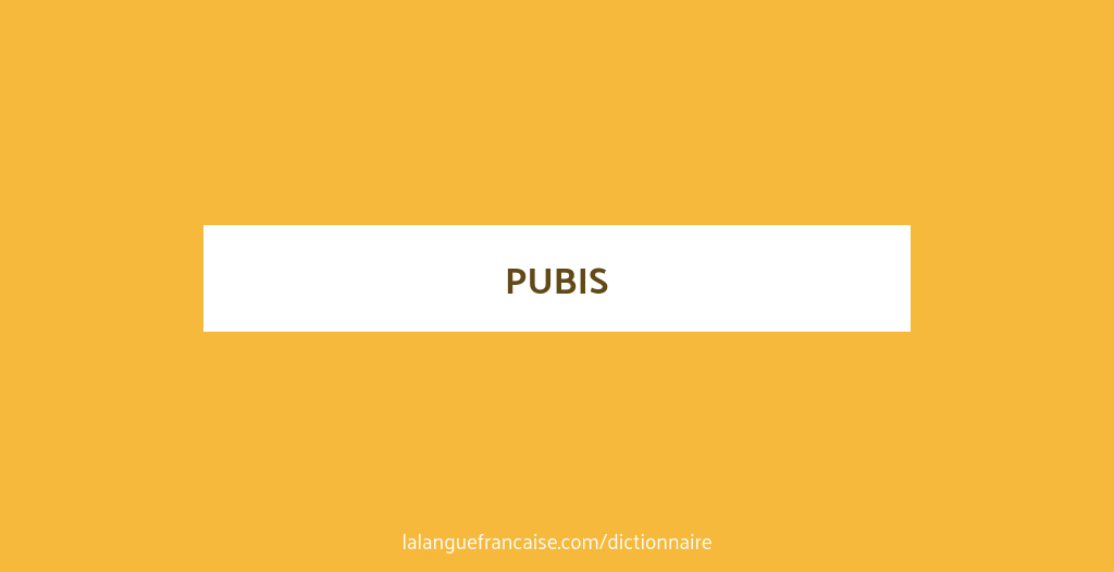 Définition de pubis | Dictionnaire français