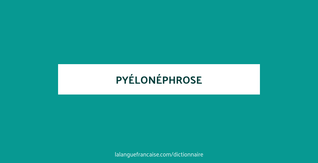 Définition de pyélonéphrose | Dictionnaire français