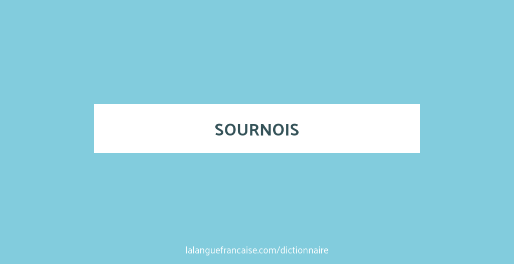 Définition de sournois Dictionnaire français